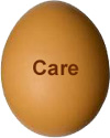 Egg Care