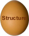 Egg Structure